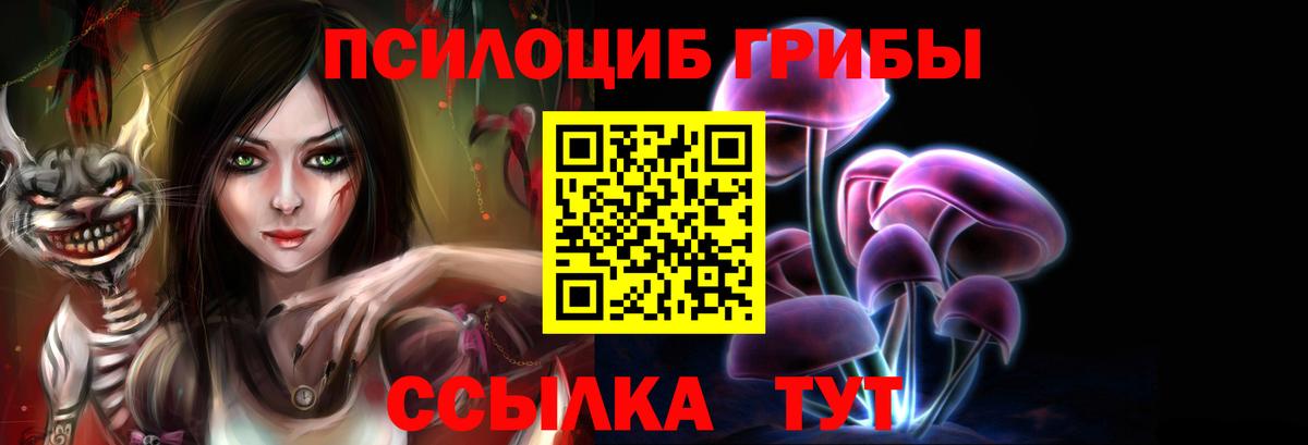 Псилоцибиновые грибы прущие грибы Коммунар